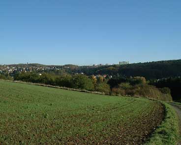 Blick auf Wetzlar vom Waldrand oberhalb Nauborns